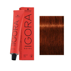 Igora Royal 6-77 60ml