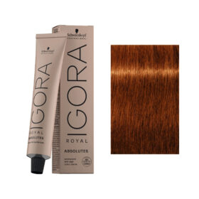 Igora Royal Absolutes 7-70 60ml